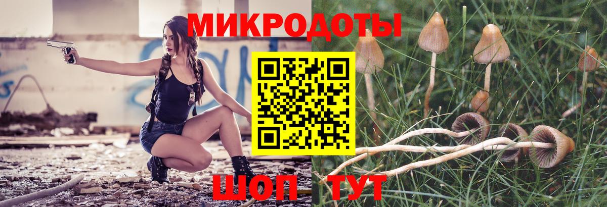 Псилоцибиновые грибы Psilocybe Лосино-Петровский