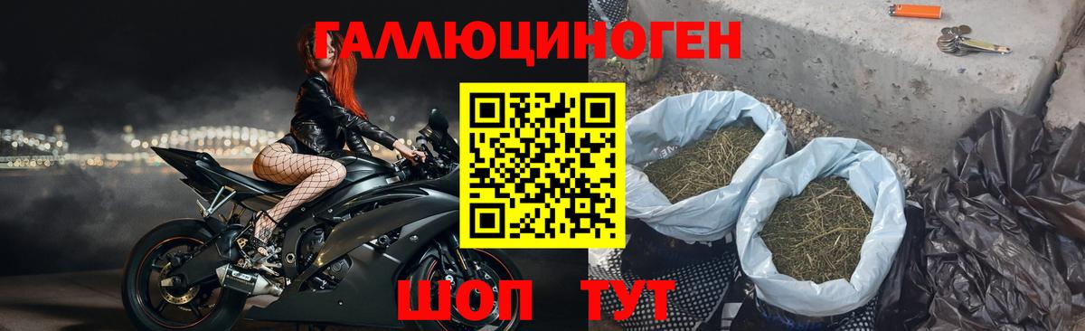 Галлюциногенные грибы ЛСД  Вход с VPN  Псилоцибиновые грибы Psilocybine cubensis  Лосино-Петровский 